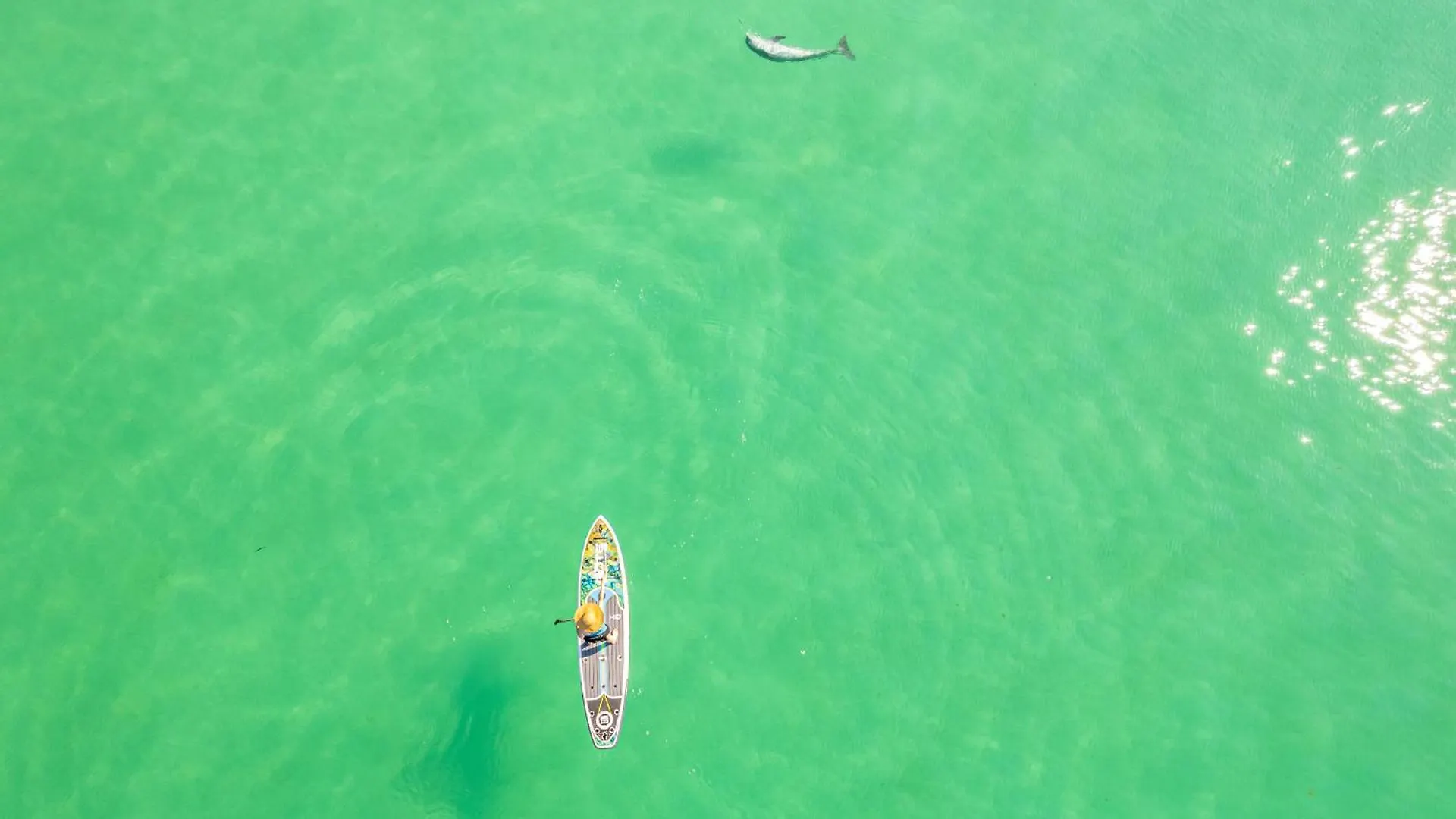Shoreline Towers 3066- By Holiday Isle Properties Destin United States