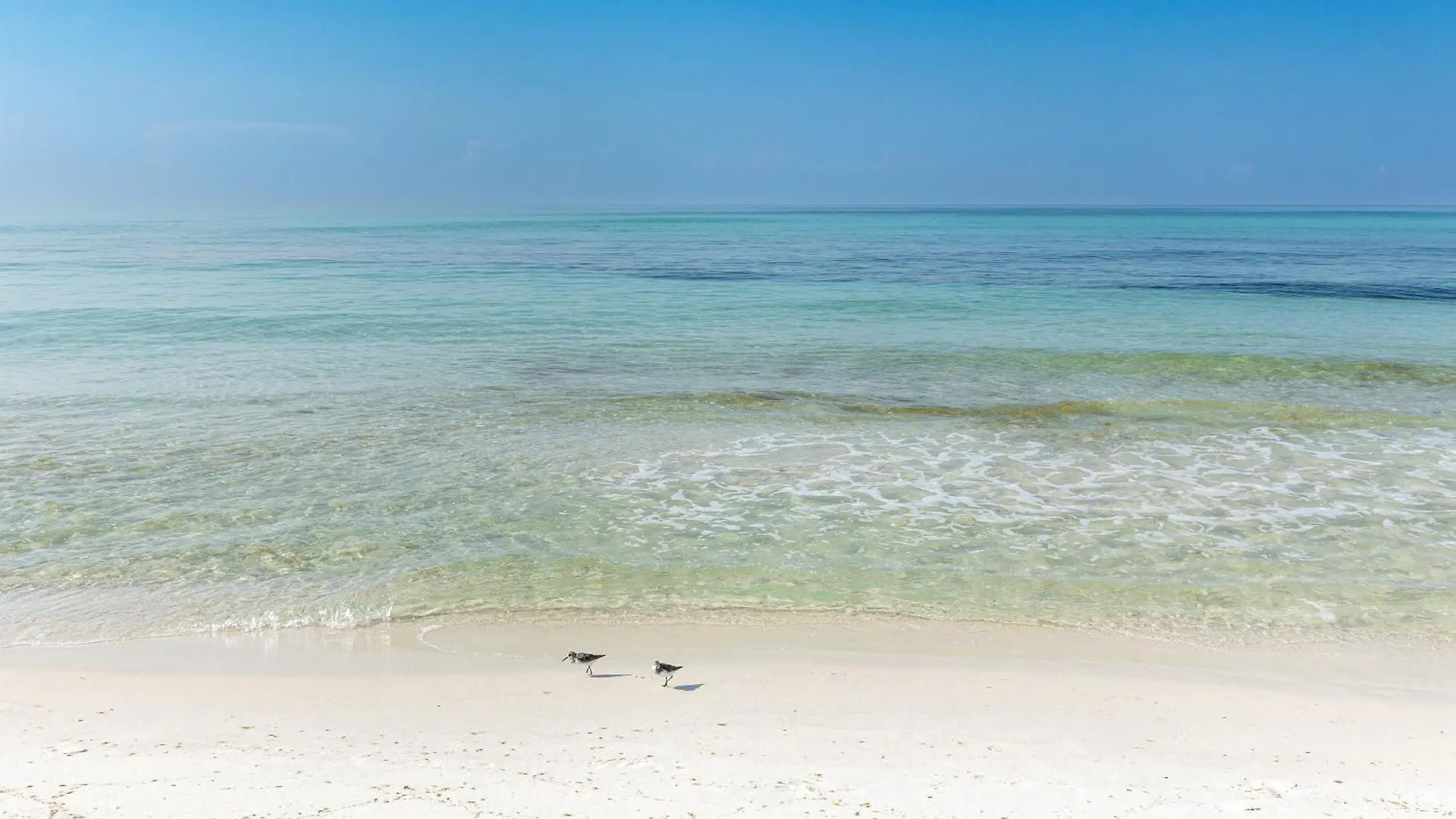 Apartment Shoreline Towers 3066- By Holiday Isle Properties Destin