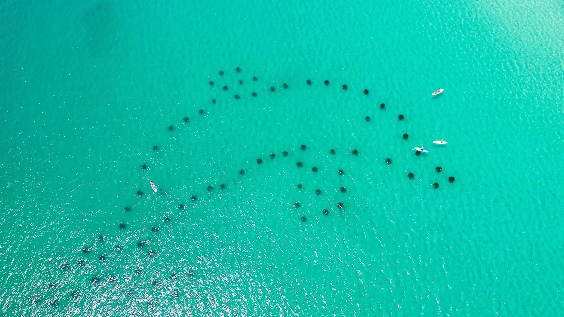Shoreline Towers 3066- By Holiday Isle Properties Destin United States